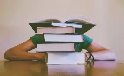 gramática francesa